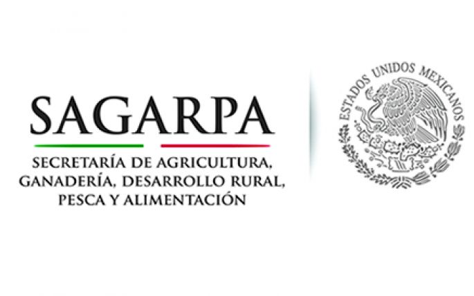 Mostrará México potencial productivo en Expo “Agroalimentaria 2017”: SAGARPA