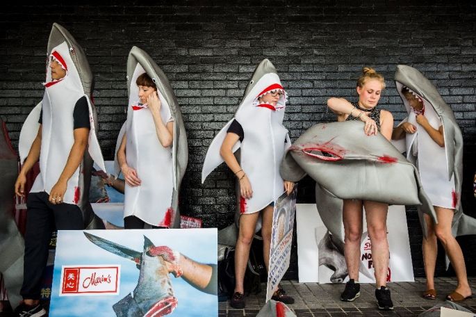 Activistas de Hong Kong se visten como tiburones para protestar por el "aleteo"