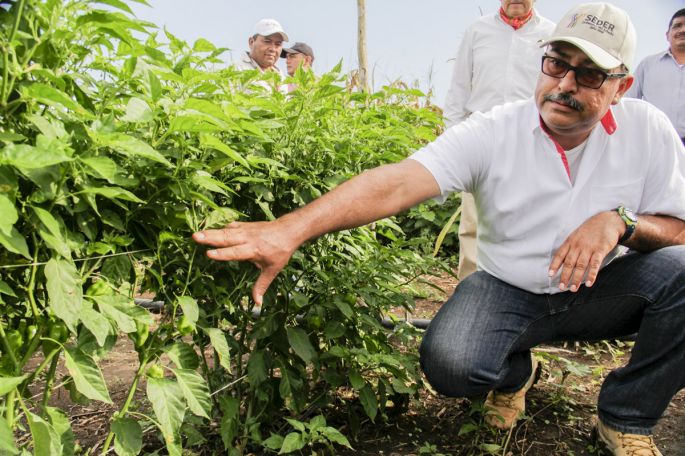 Mantener amor y arraigo a la tierra: Juan José Canul Pérez.
