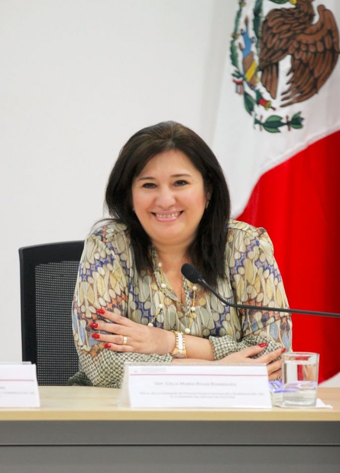 El Congreso elegirá un muy buen auditor del Estado: Celia Rivas