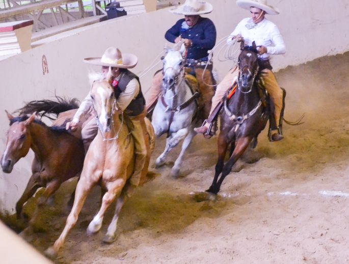 La segunda fase del Campeonato Estatal Charro para los "Charros de Montecristo"