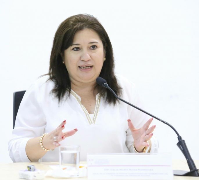 Al PRI no le preocupa el Frente Amplio Democrático convocado por el PRD: Celia Rivas.