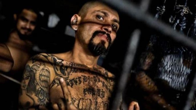 Duro golpe a los "Mara Salvatrucha" en Nueva York.