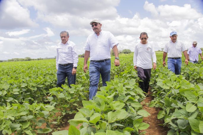 Se fortalece el cultivo de soya en el cono sur