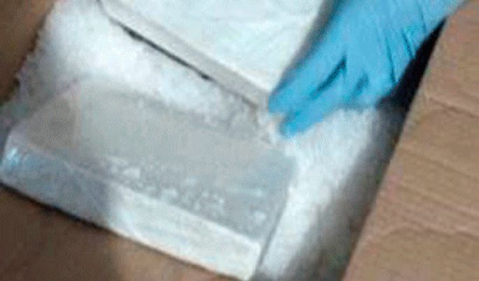 Con apoyo de binomios caninos, Policía Federal asegura aparente droga en Puerto Vallarta, Jalisco
