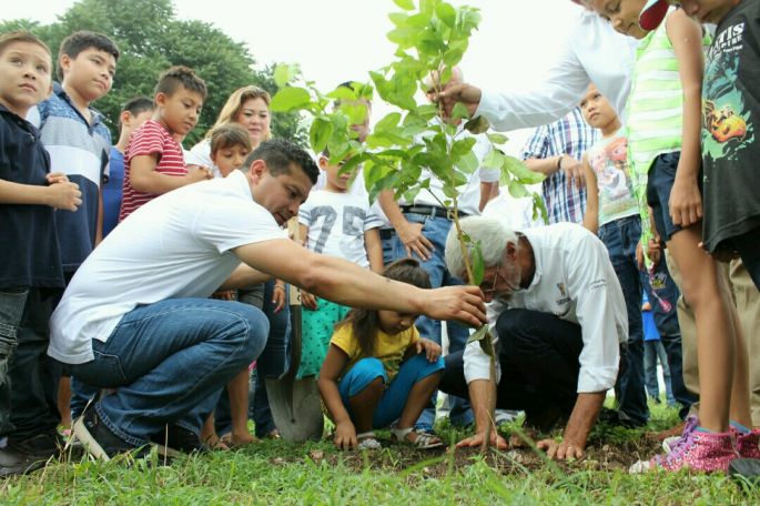 Reforestan parque de San Camilo con “un nuevo bosque”.