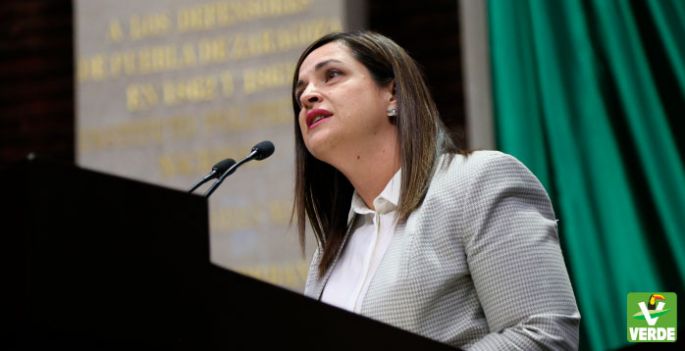 Renegociación de TLCAN debe incluir a productores de leche: Dip. Soraya Flores Carranza.