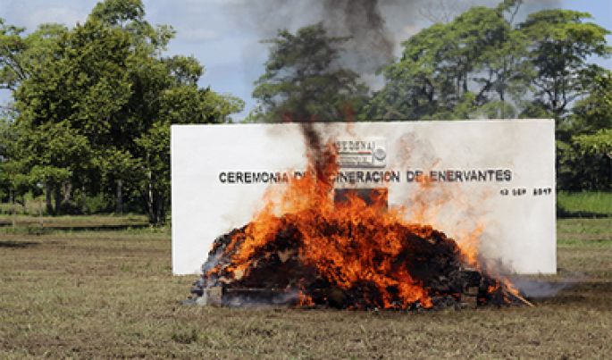 La PGR en coordinación con la SEDENA incinera narcóticos en Tabasco