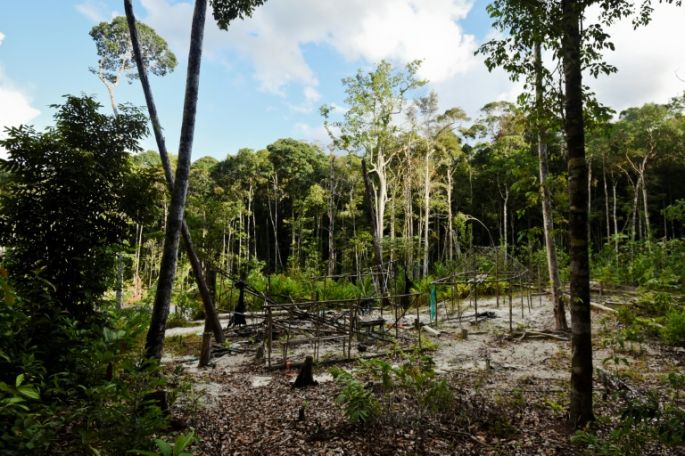 Greenpeace detecta minería ilegal en una reserva amazónica en Brasil