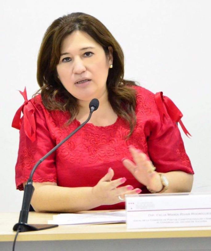 Por culpa de MORENA no hay disminución de dinero a los partidos políticos.
