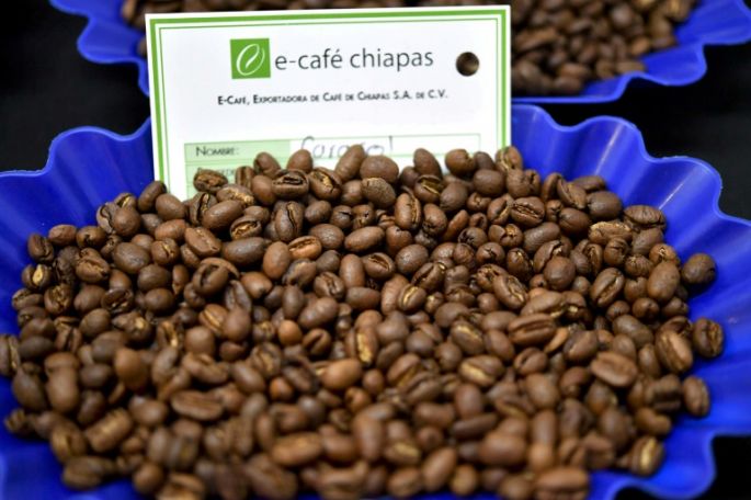 Calentamiento global pone en peligro producción de café latinoamericano