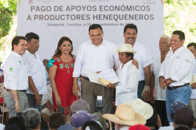 Siembra de henequén, con futuro garantizado