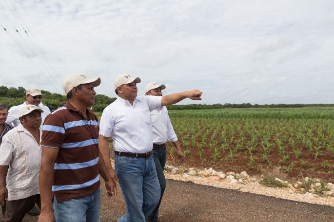 En cinco años de gobierno, 292 kilómetros de carreteras sacacosechas