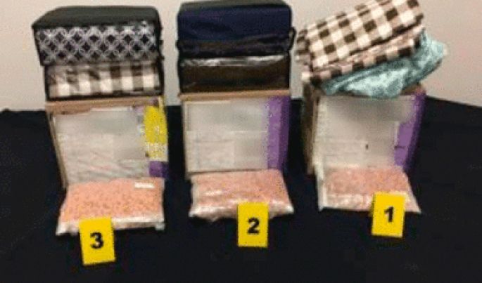 En Jalisco, binomios caninos de la Policía Federal detectan aparente metanfetamina en sets de sábanas