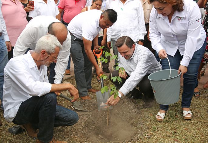 Trabajo coordinado, en favor de la reforestación 