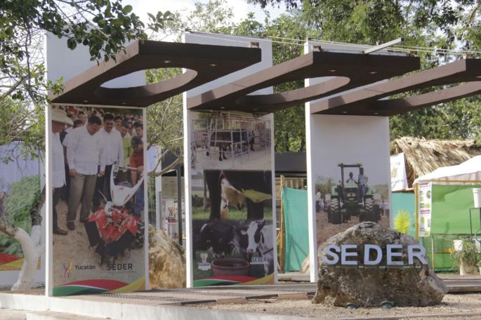 Zona Seder, una muestra de la produción del campo yucateco