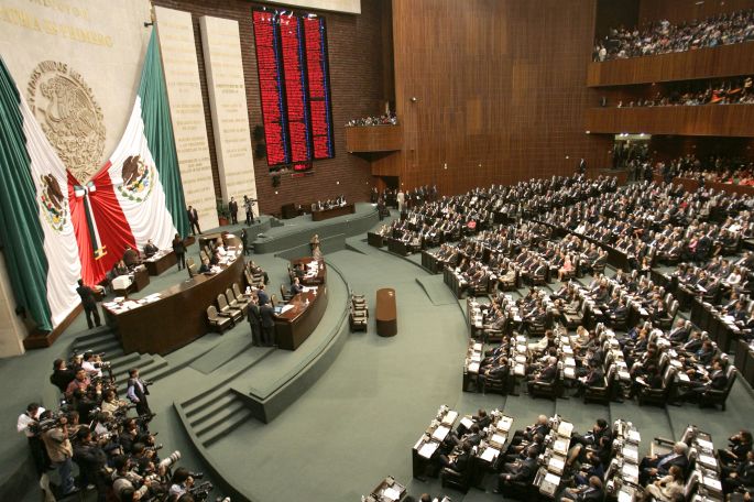 Piden diputados proteger derechos de personas apoyadas por perros guía 
