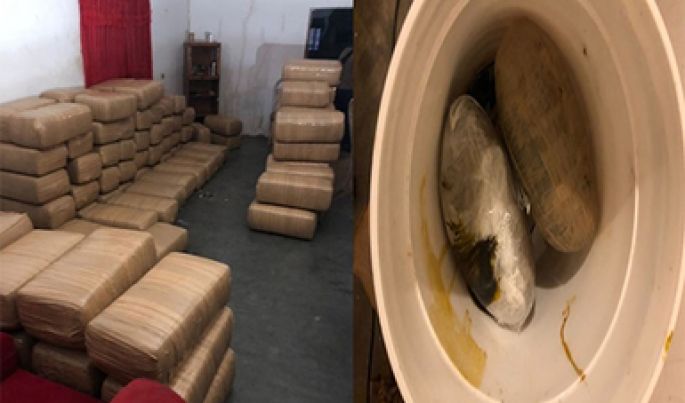 Mediante un cateo, la PGR de Baja California asegura más de una tonelada y media de marihuana