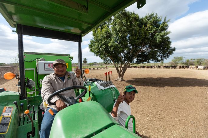 El campo yucateco, motivo de orgullo