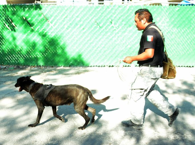 Encuentran un quinto cuerpo sin vida en la zona de derrumbe