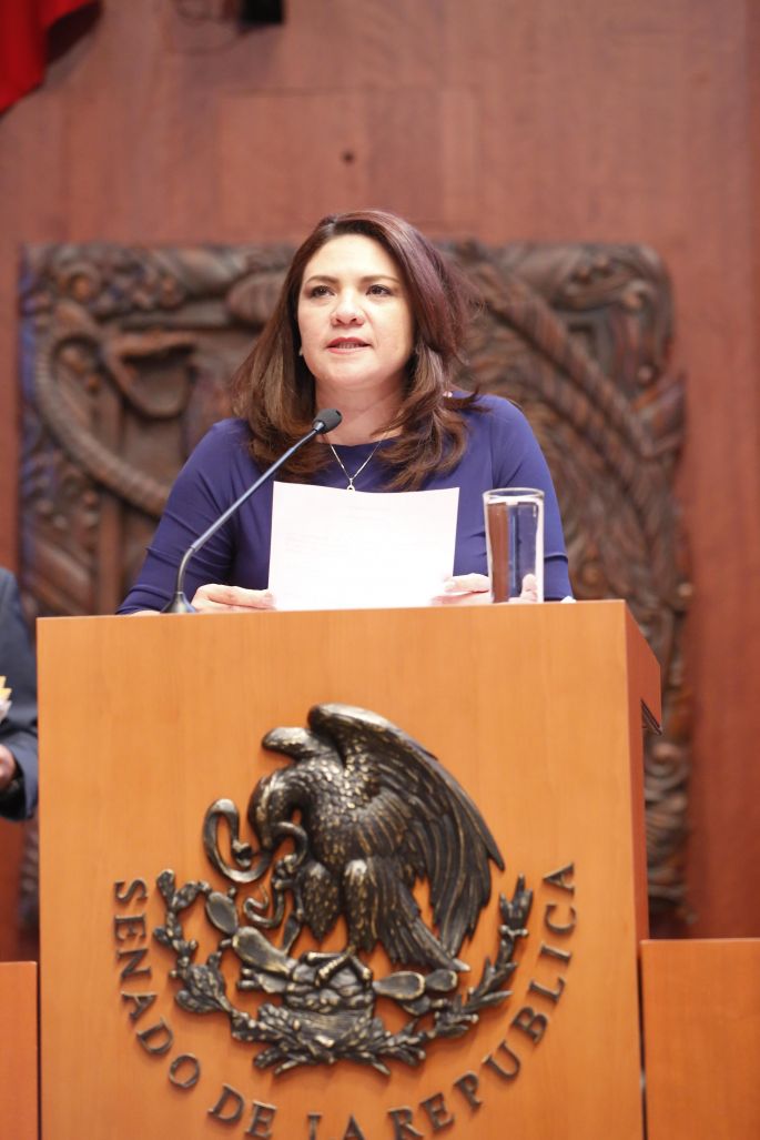 Los soldados existen para combatir contra otros soldados, no contra el crimen: Rosa Adriana Díaz