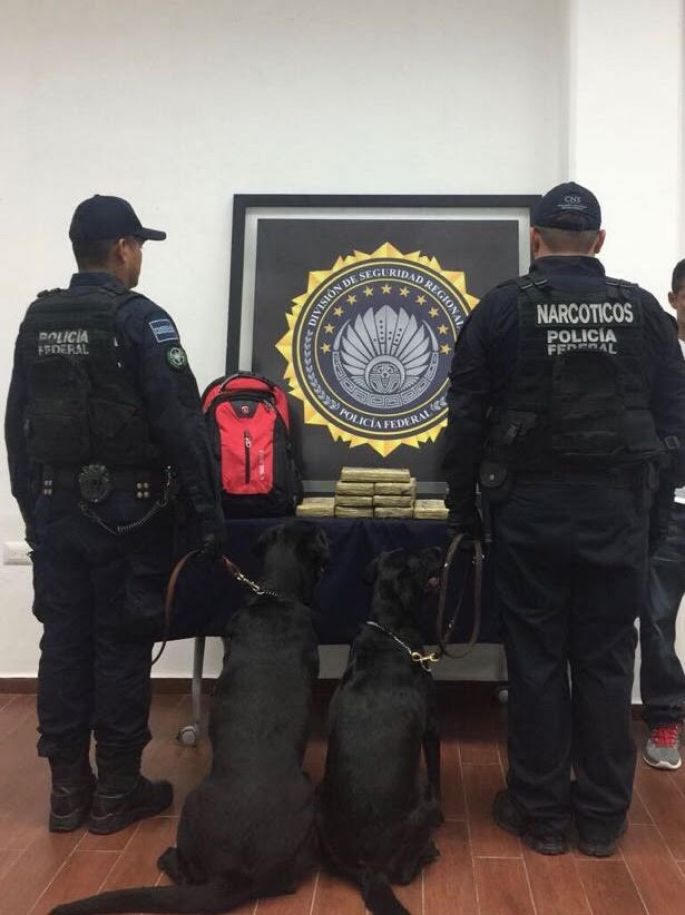 Asegura la Policía Federal 9 kilos de cocaína a usuario del ADO