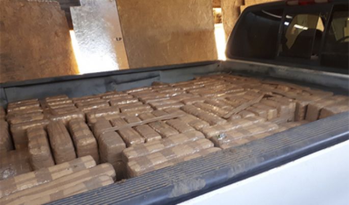 Mediante un cateo, la PGR en Baja California asegura casi media tonelada de marihuana