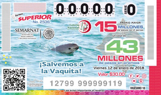 Emite la Lotería Nacional boleto con la imagen de la vaquita marina