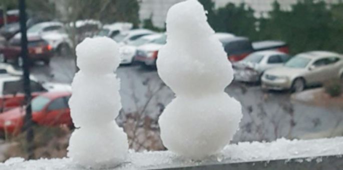 Cae nieve en Florida por primera vez en tres décadas