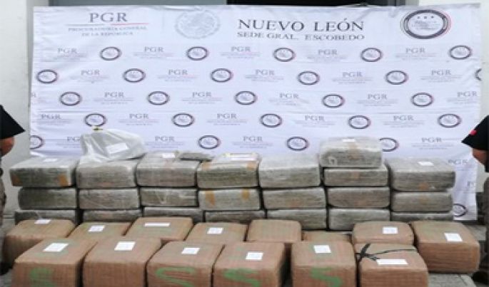 Asegura la PGR mediante un cateo más de 430 kilos de marihuana en Apodaca