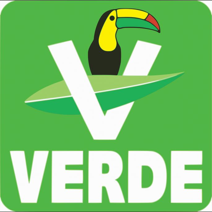 El Partido Verde dejaría la coalición con el PRI en dos estados