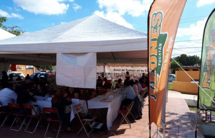 Los Leones reclutan talento yucateco