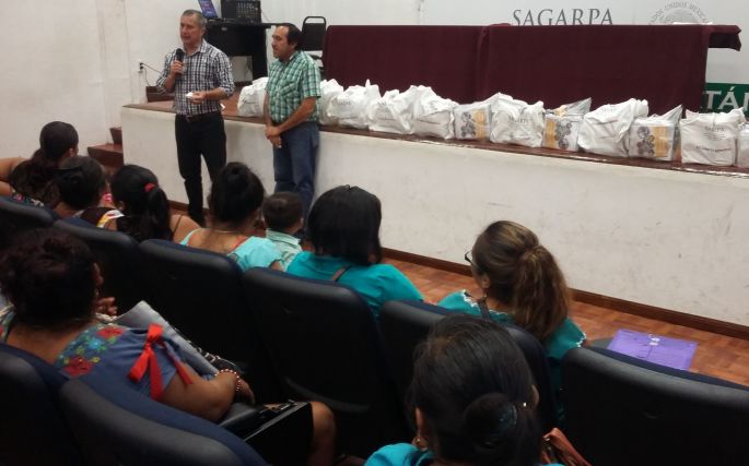 Capacita la SAGARPA a apicultoras yucatecas