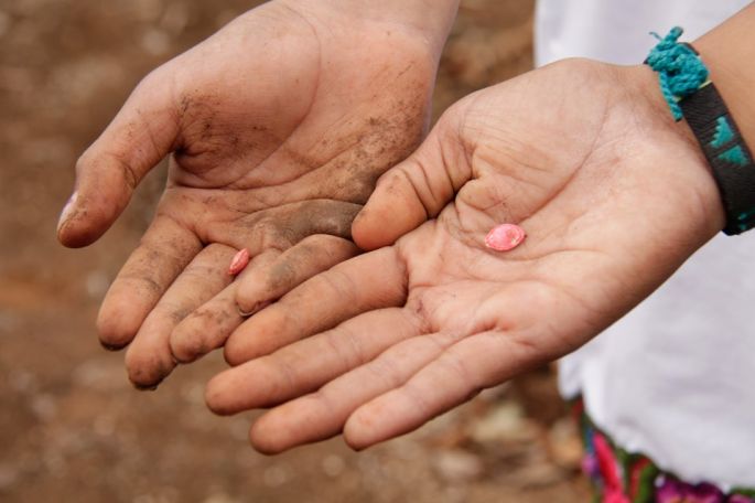 A través de la educación se genera amor por la naturaleza