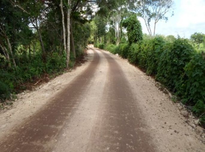 La Conagua ha invertido más de 74 mdp para la rehabilitación de caminos en apoyo al sector agrícola de Yucatán 