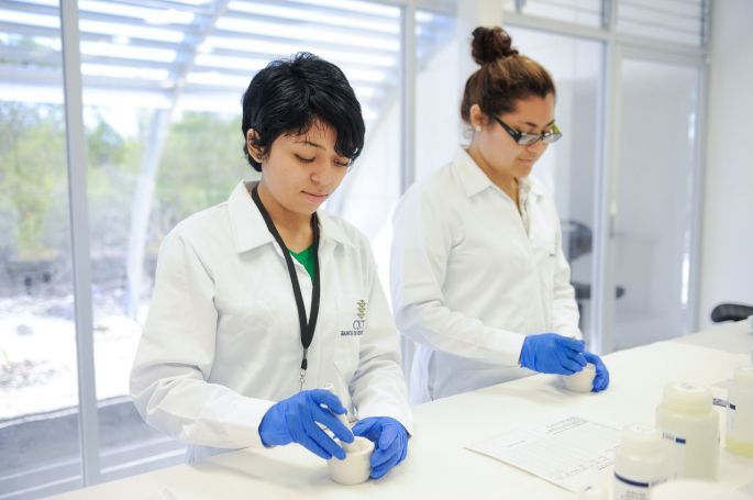 Yucatán apuesta por la comercialización de soluciones tecnológicas