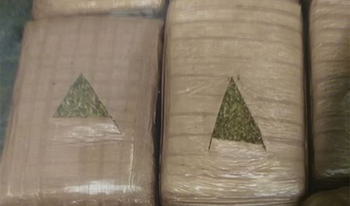 En Jalisco detienen a conductor de camioneta con 10 kilos de mota