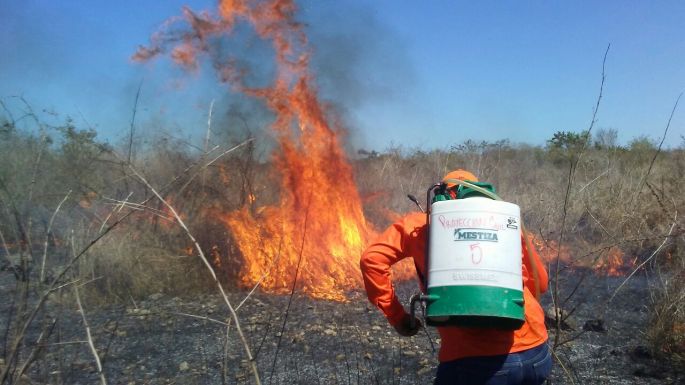 Se convoca a productores a no realizar quemas durante abril