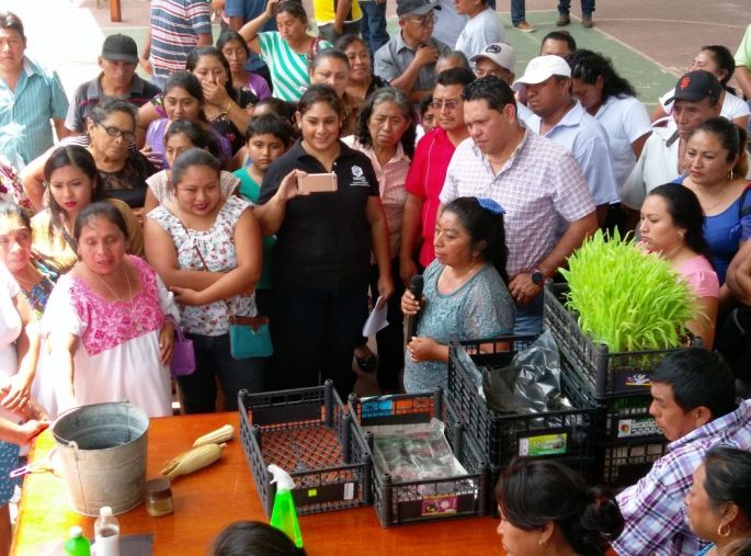 Inauguran la "Feria de la Seguridad Alimentaria y Nutricional en Kaua"