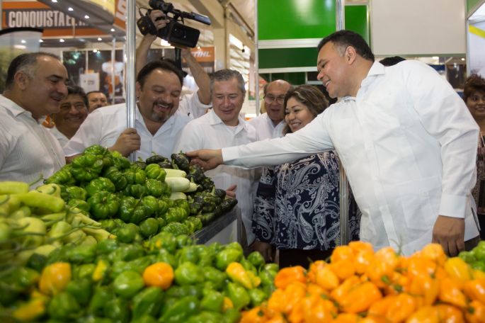 Producción agropecuaria de Yucatán, con buenos resultados