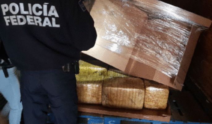 En la carretera de Coahuila, la Policía Federal asegura más de una tonelada de aparente marihuana