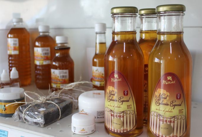Miel yucateca símbolo de sabor, calidad e inocuidad