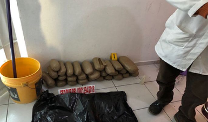 Durante un cateo en Puebla, la PGR decomisa más de 50 kilos de marihuana