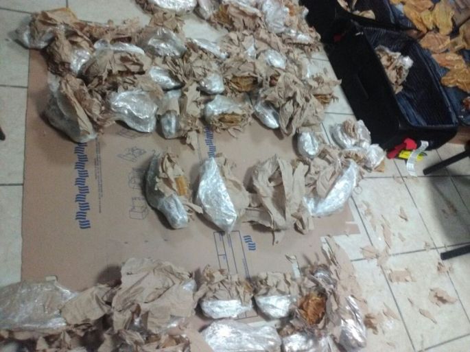Vinculan a proceso a un extranjero por su probable responsabilidad en el transporte de una especie acuática en veda