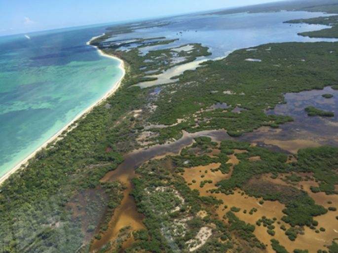 Se inicia Controversia Constitucional  para defender Holbox
