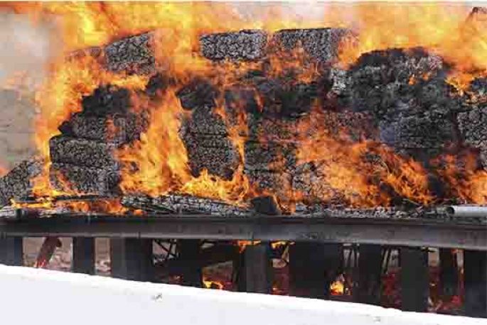 Destruye PGR en Chihuahua más de una tonelada de marihuana y casi 100 kilos de cocaína