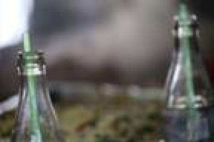Promueve la SEMARNAT campaña para evitar el uso del popote