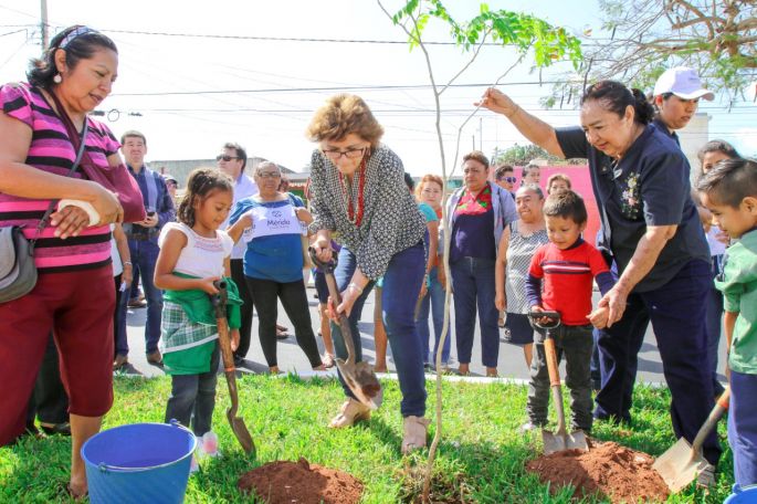 “Mérida cuenta con más de 80,300 árboles nuevos”
