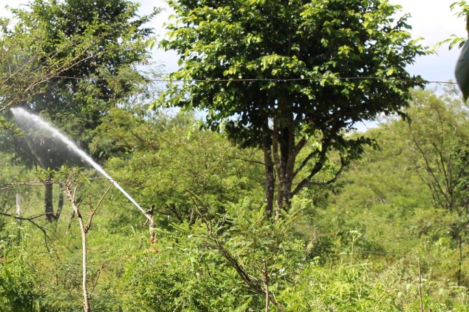 El riego tecnificado, herramienta sustentable