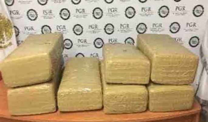 En dos acciones, aseguran 100 kilos de marihuana en Guasave